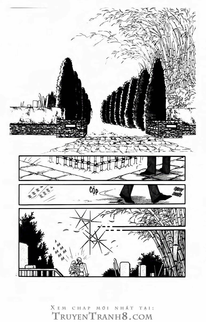 Swan - Vũ Khúc Thiên Nga: Chapter 75