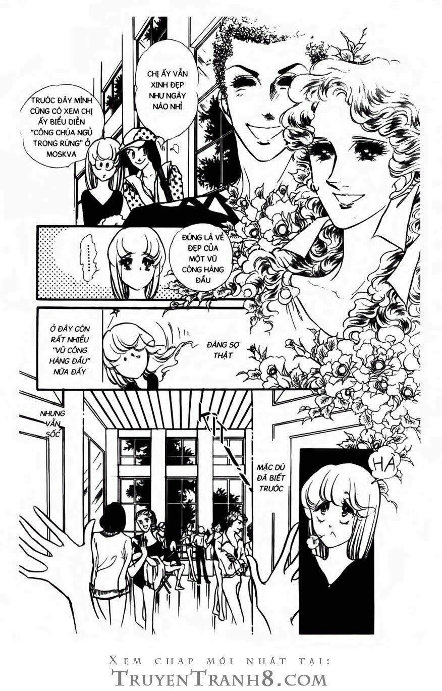 Swan - Vũ Khúc Thiên Nga: Chapter 77