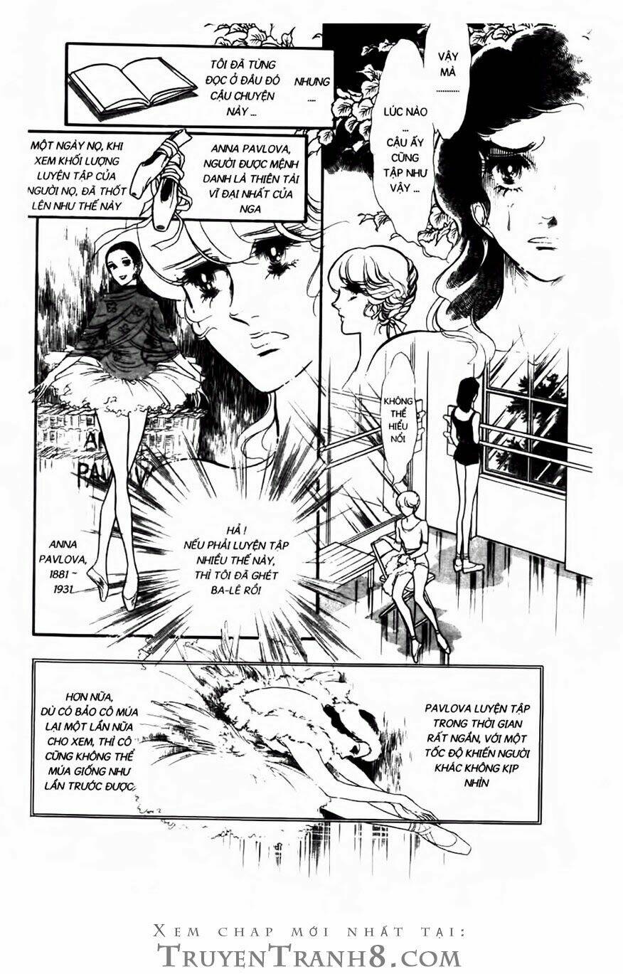 Swan - Vũ Khúc Thiên Nga: Chapter 78
