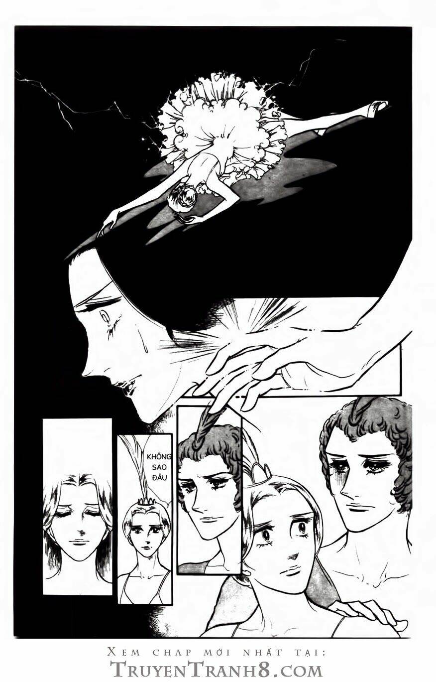 Swan - Vũ Khúc Thiên Nga: Chapter 81