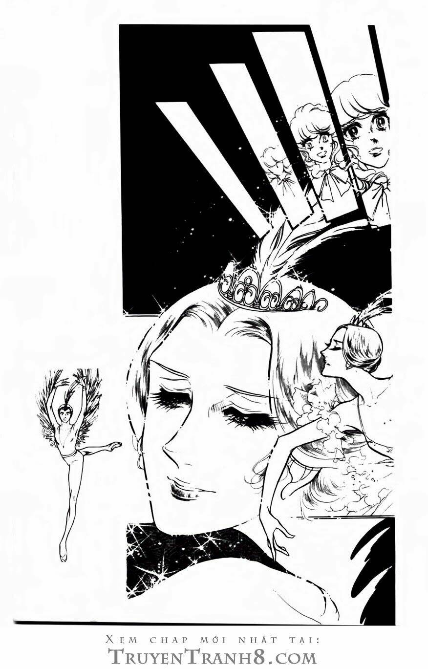 Swan - Vũ Khúc Thiên Nga: Chapter 81