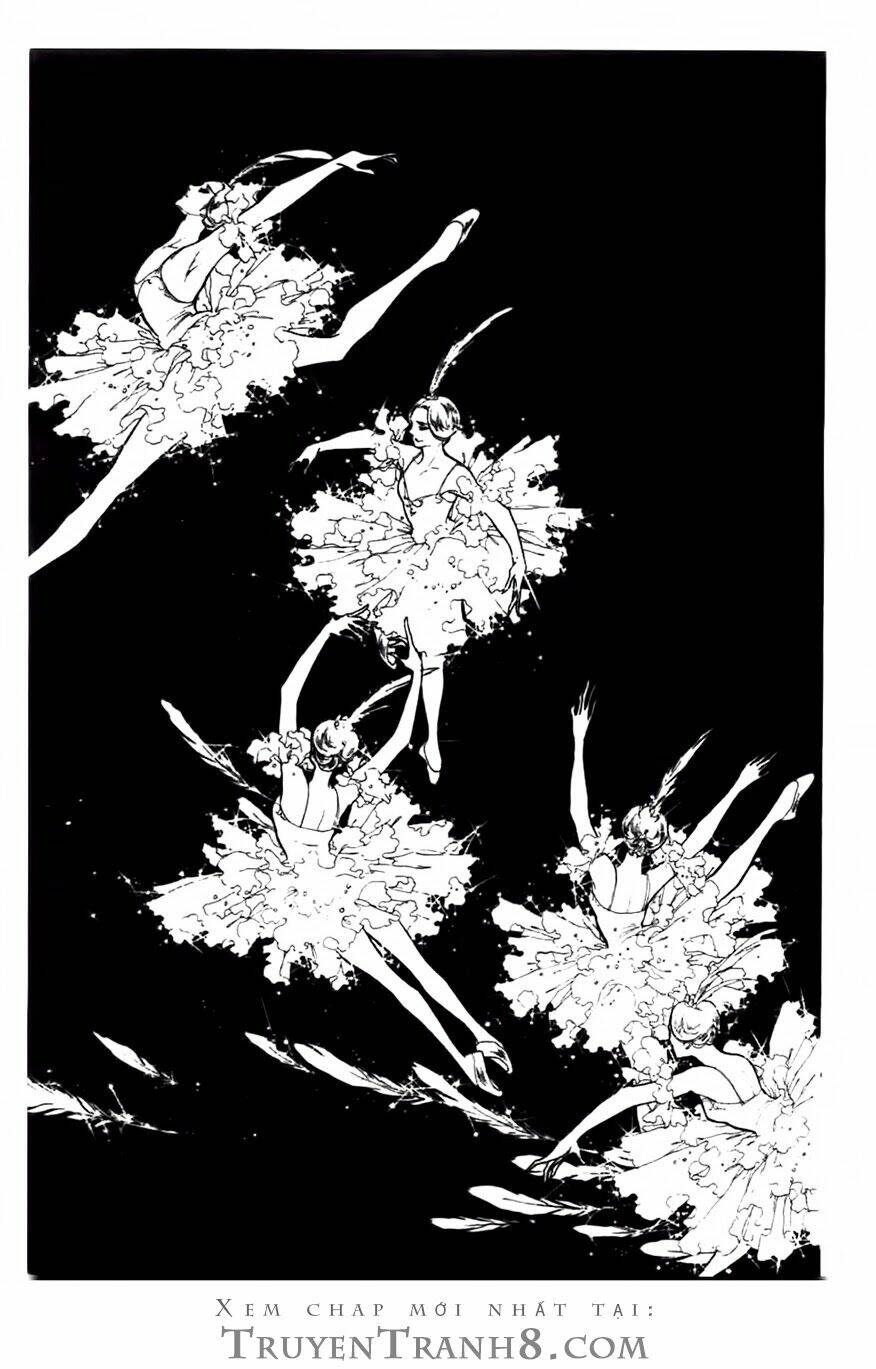 Swan - Vũ Khúc Thiên Nga: Chapter 81