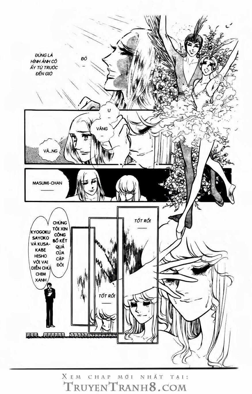 Swan - Vũ Khúc Thiên Nga: Chapter 81