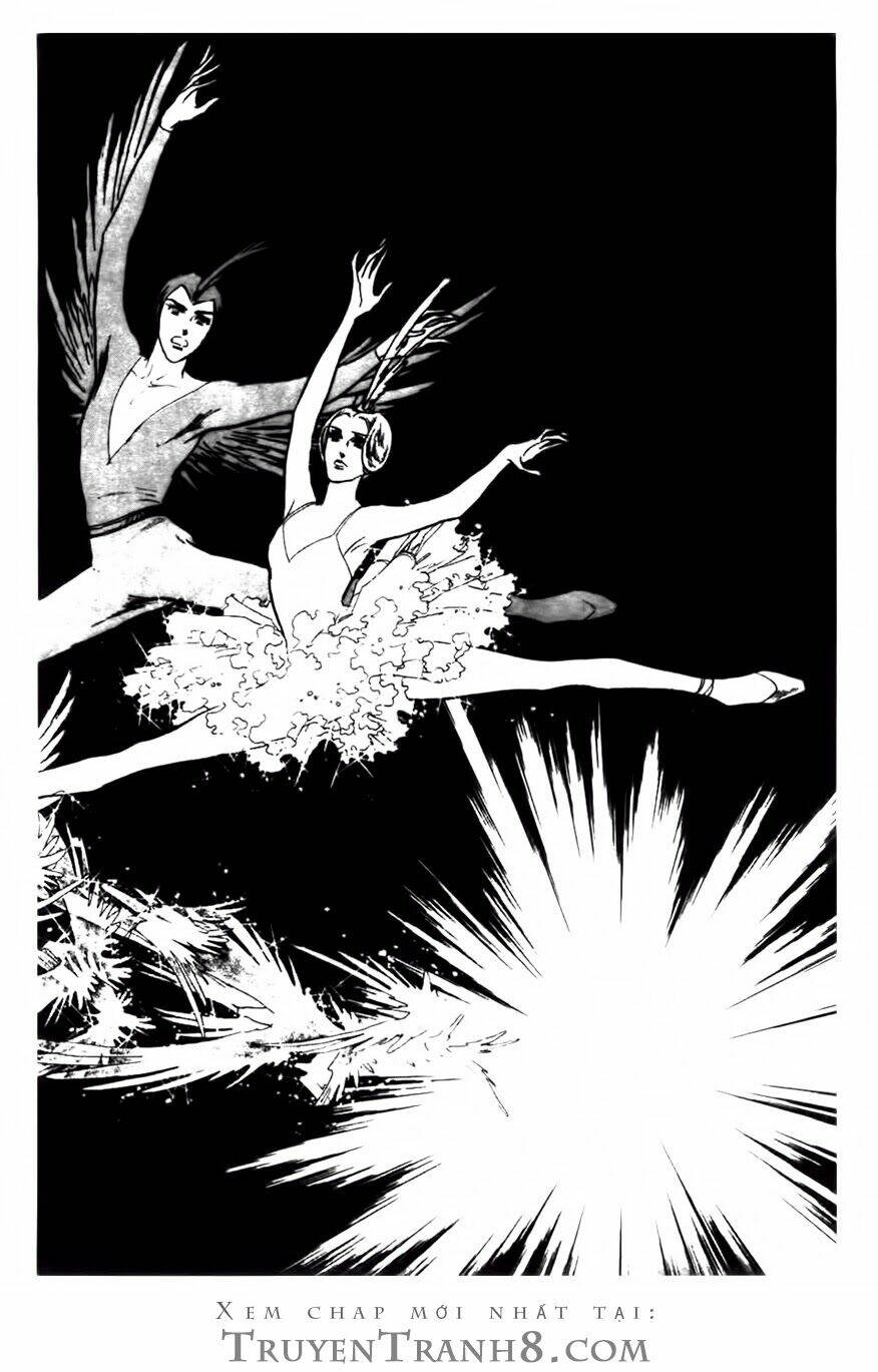 Swan - Vũ Khúc Thiên Nga: Chapter 81