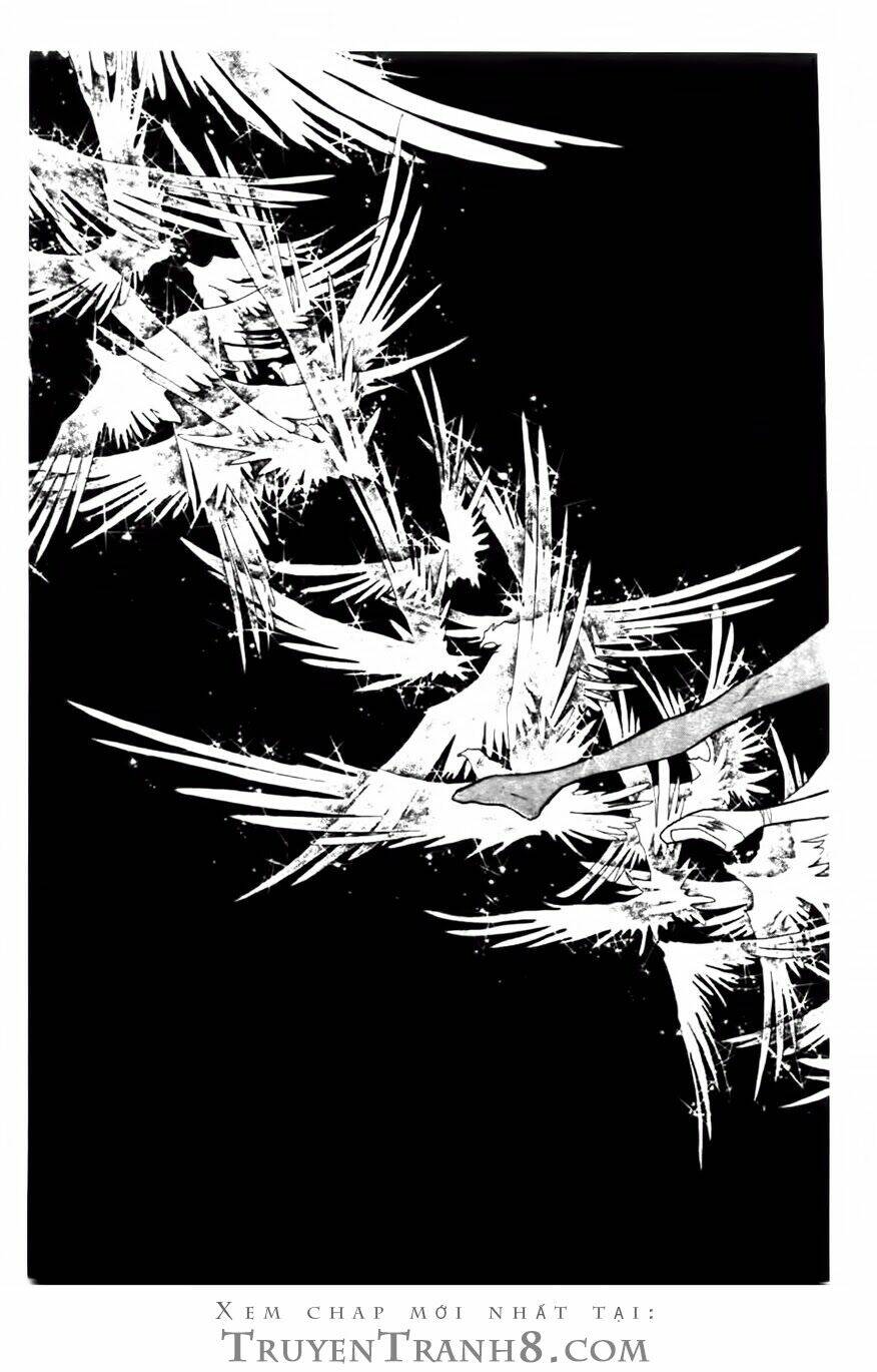 Swan - Vũ Khúc Thiên Nga: Chapter 81