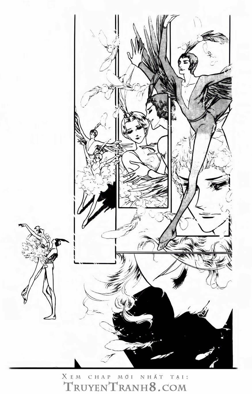 Swan - Vũ Khúc Thiên Nga: Chapter 81