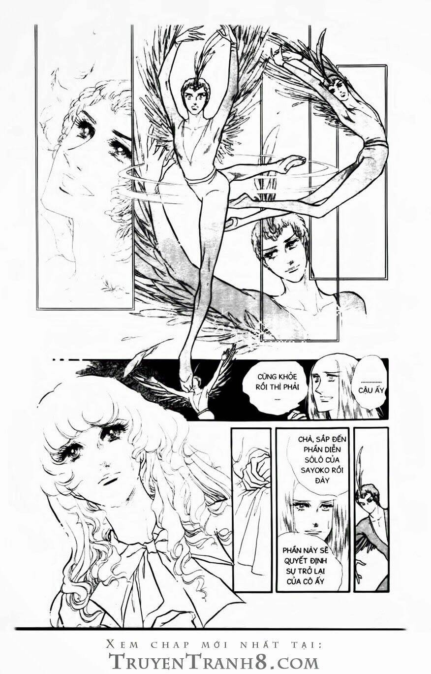 Swan - Vũ Khúc Thiên Nga: Chapter 81