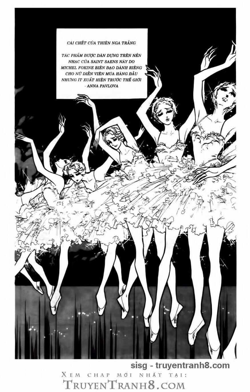 Swan - Vũ Khúc Thiên Nga: Chapter 83