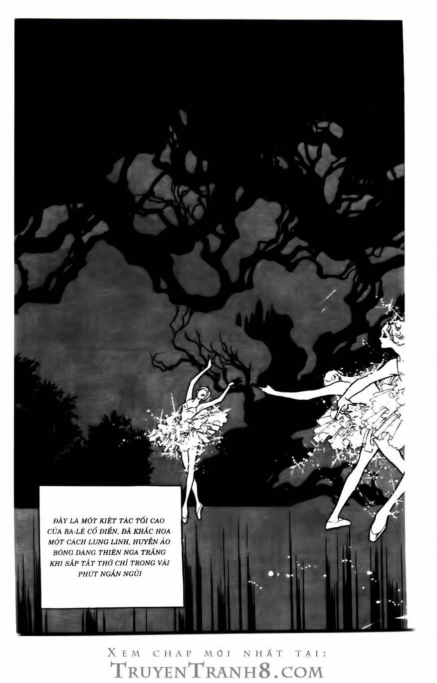 Swan - Vũ Khúc Thiên Nga: Chapter 83