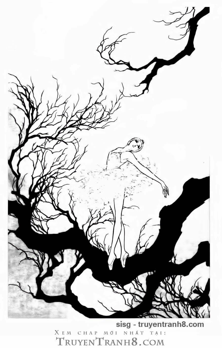 Swan - Vũ Khúc Thiên Nga: Chapter 83