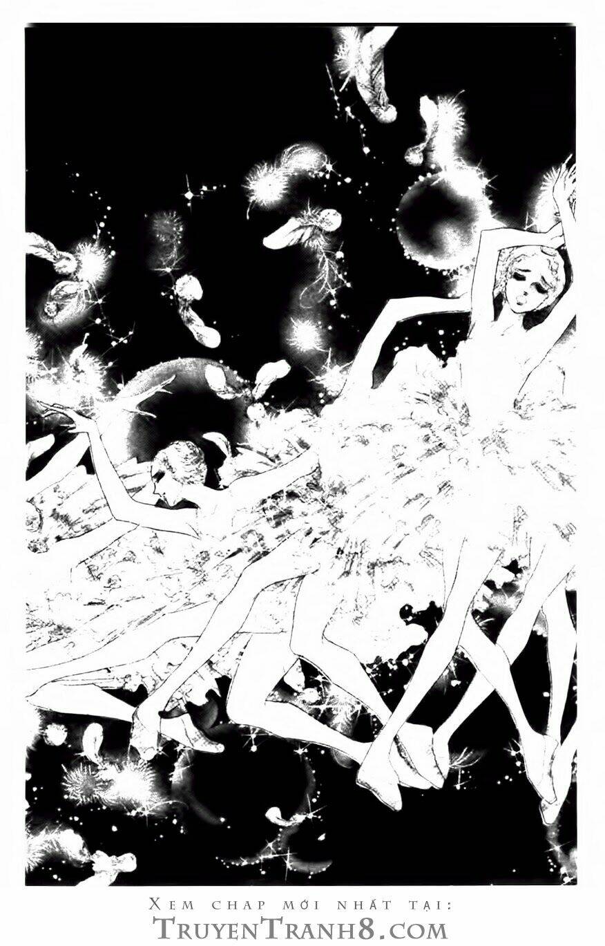 Swan - Vũ Khúc Thiên Nga: Chapter 83