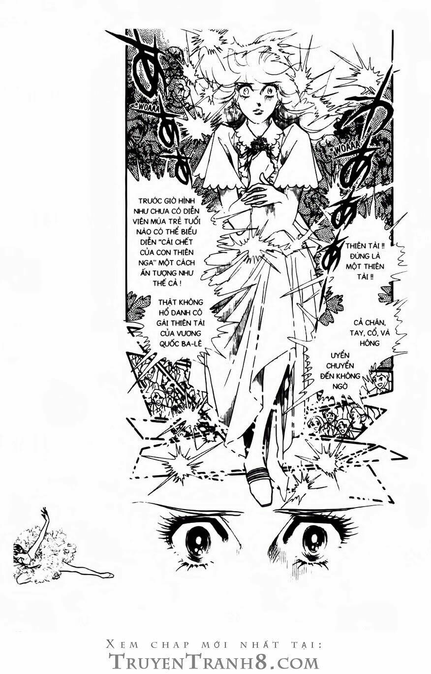 Swan - Vũ Khúc Thiên Nga: Chapter 84