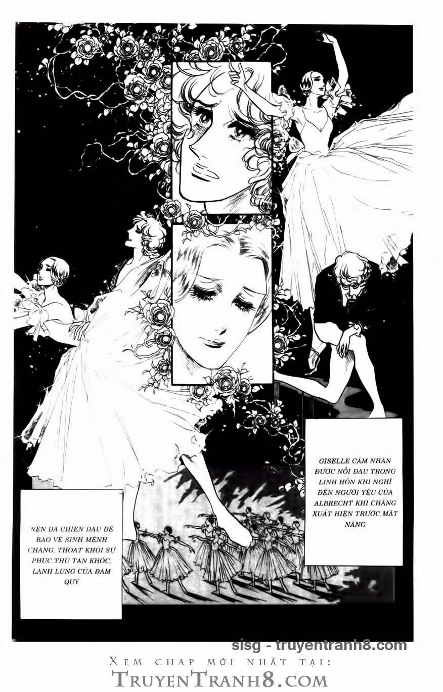 Swan - Vũ Khúc Thiên Nga: Chapter 95