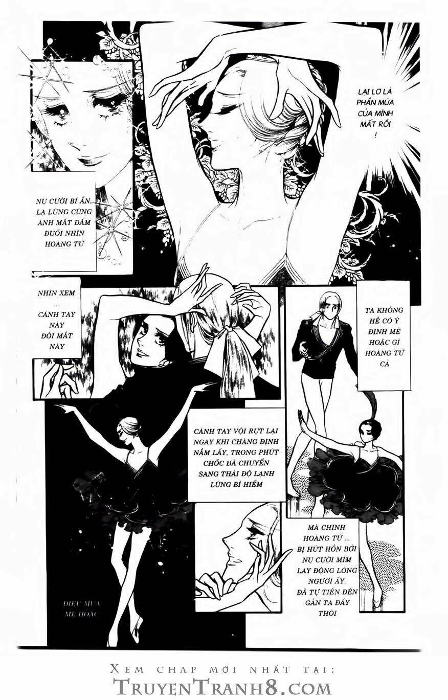 Swan - Vũ Khúc Thiên Nga: Chapter 97