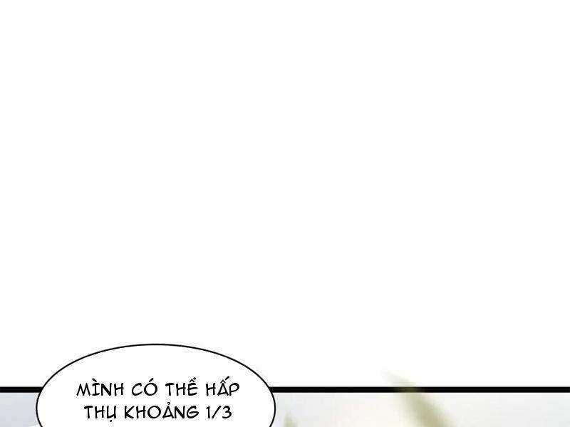 Ta Dưỡng Ra Nhân Vật Phản Diện Là Nữ Đế Yandere: Chapter 17