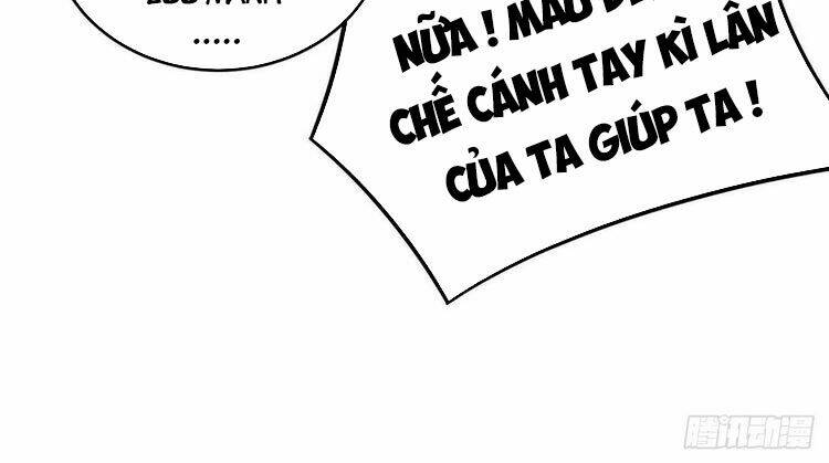Ta Nhặt Được Thuộc Tính Tại Tu Chân Giới: Chapter 149