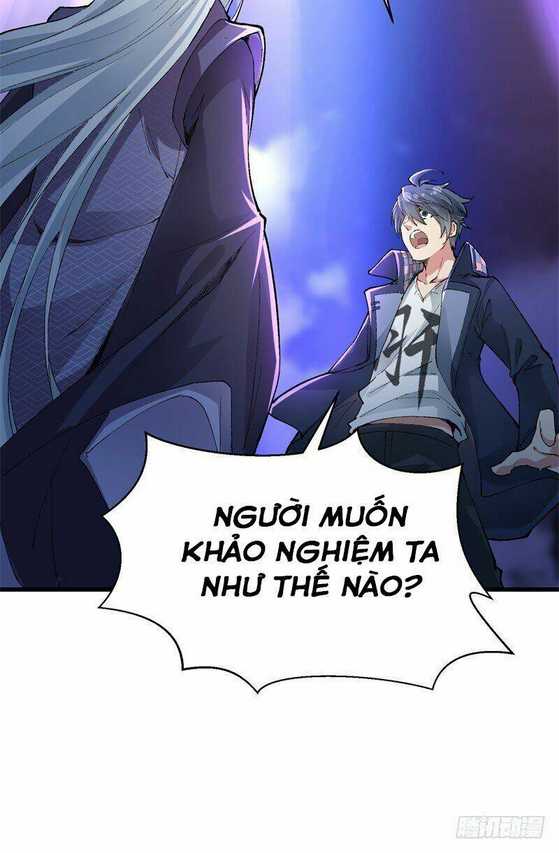 Ta Nhặt Được Thuộc Tính Tại Tu Chân Giới: Chapter 2