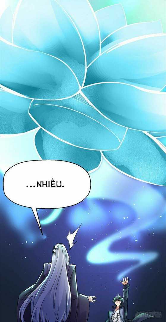 Ta Nhặt Được Thuộc Tính Tại Tu Chân Giới: Chapter 2