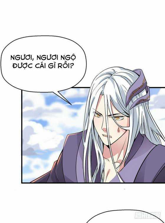 Ta Nhặt Được Thuộc Tính Tại Tu Chân Giới: Chapter 2