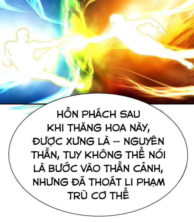 Ta Nhặt Được Thuộc Tính Tại Tu Chân Giới: Chapter 206