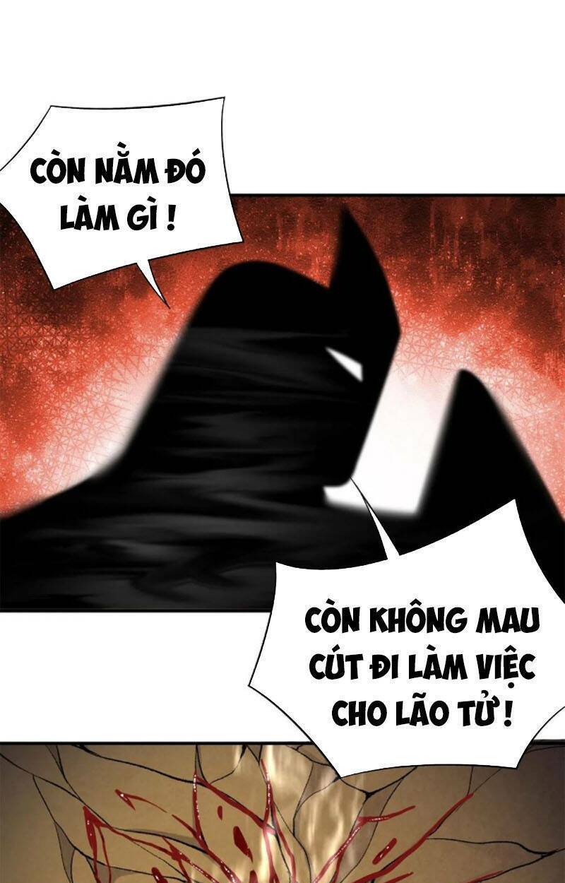Ta Nhặt Được Thuộc Tính Tại Tu Chân Giới: Chapter 207