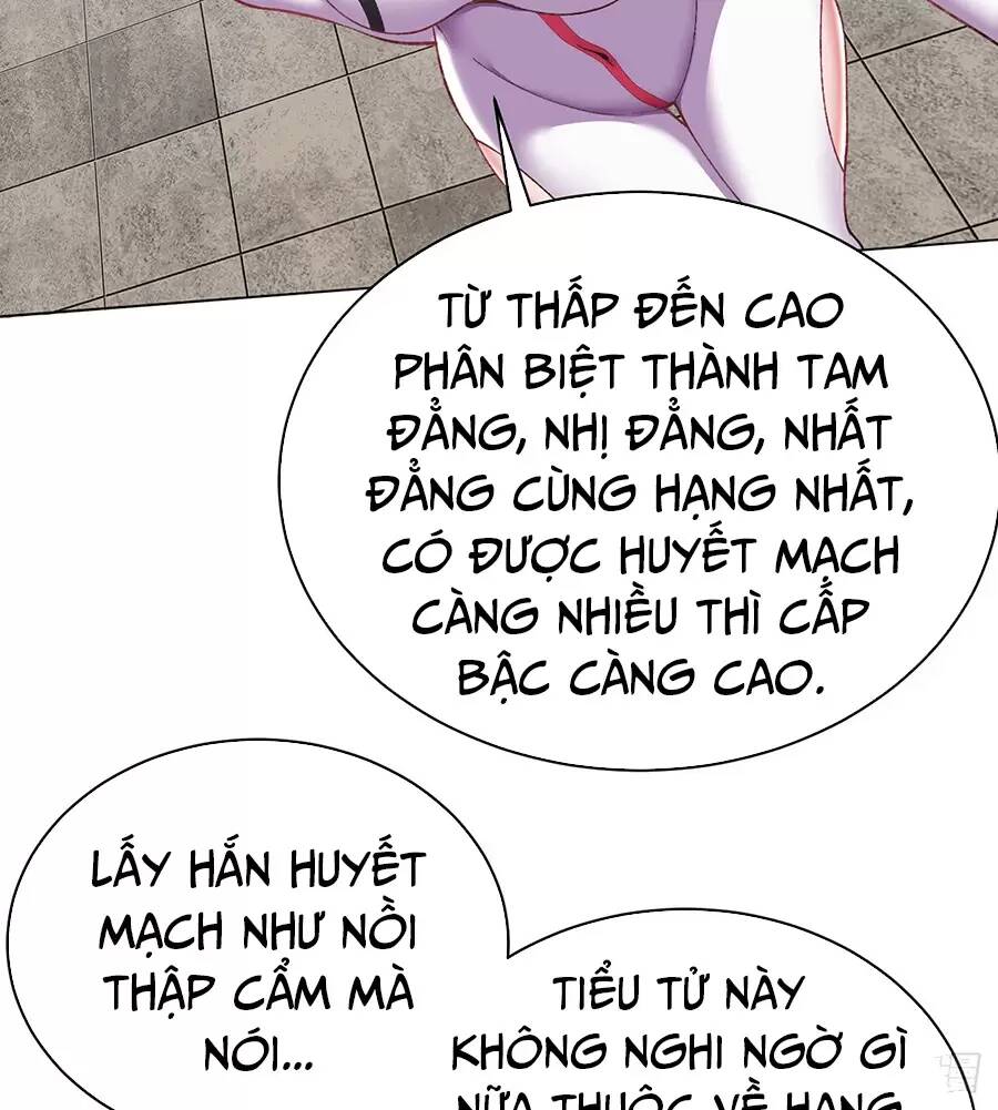 Ta Nhặt Được Thuộc Tính Tại Tu Chân Giới: Chapter 213