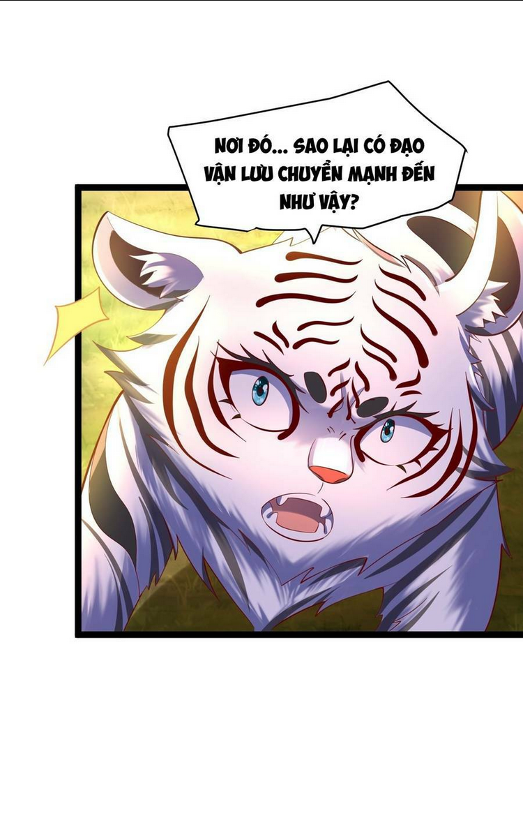 Ta Thật Sự Không Phải Là Cái Thế Cao Nhân: Chapter 6