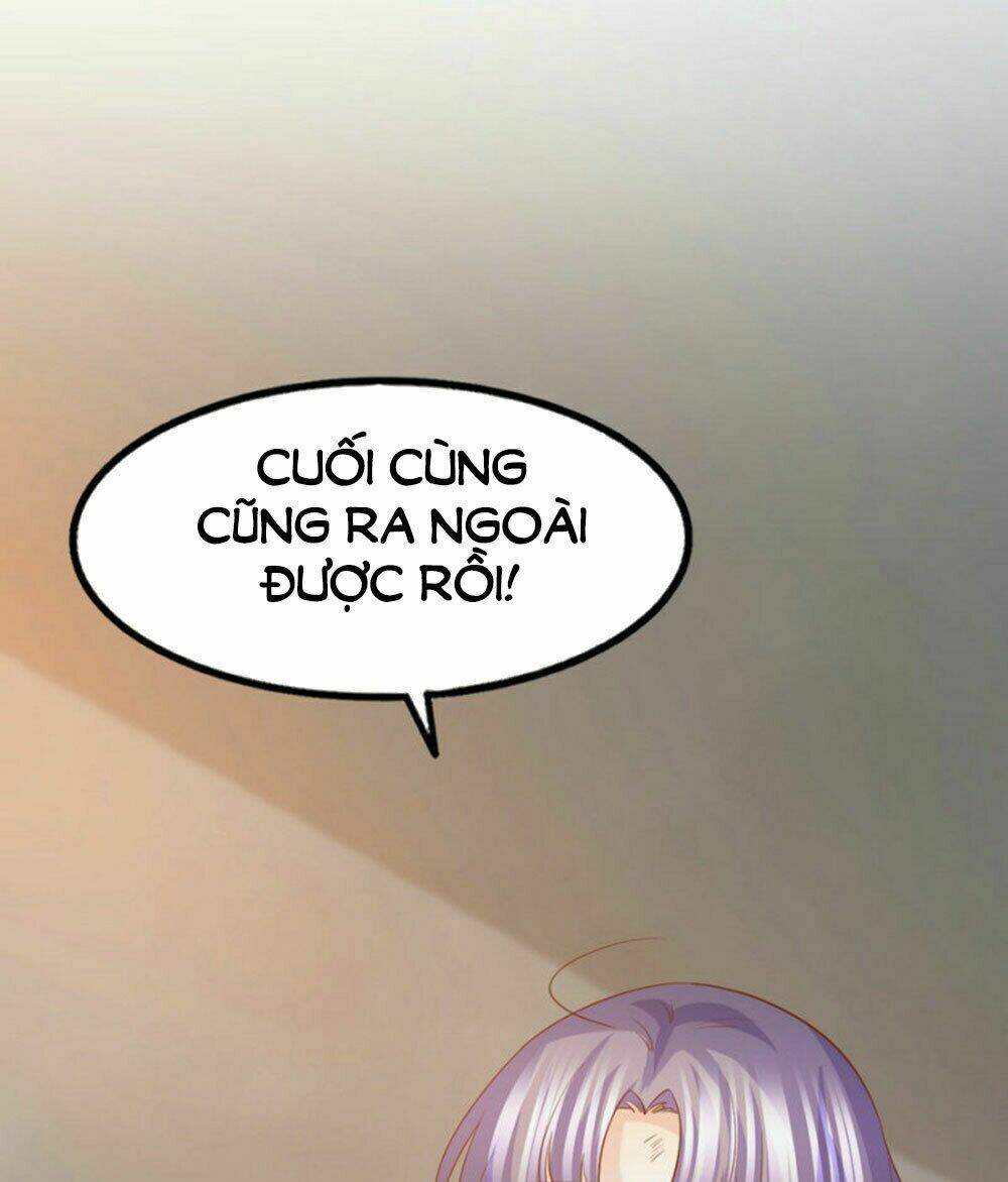 Vương Gia Ngốc Nghếch Trêu Chọc Y Phi: Chapter 56