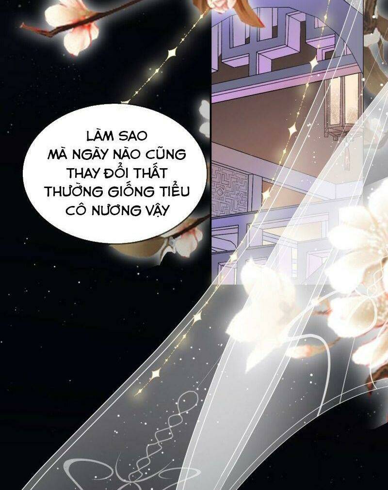 Thiên Hạ Đệ Nhất Manh Phu: Chapter 66