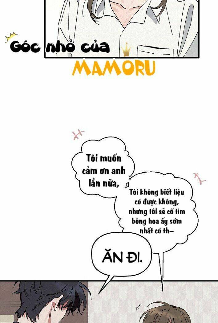 Tặng Tôi Một Đoá Hoa, Tôi Sẽ Trao Em Bản Thân Mình: Chapter 5