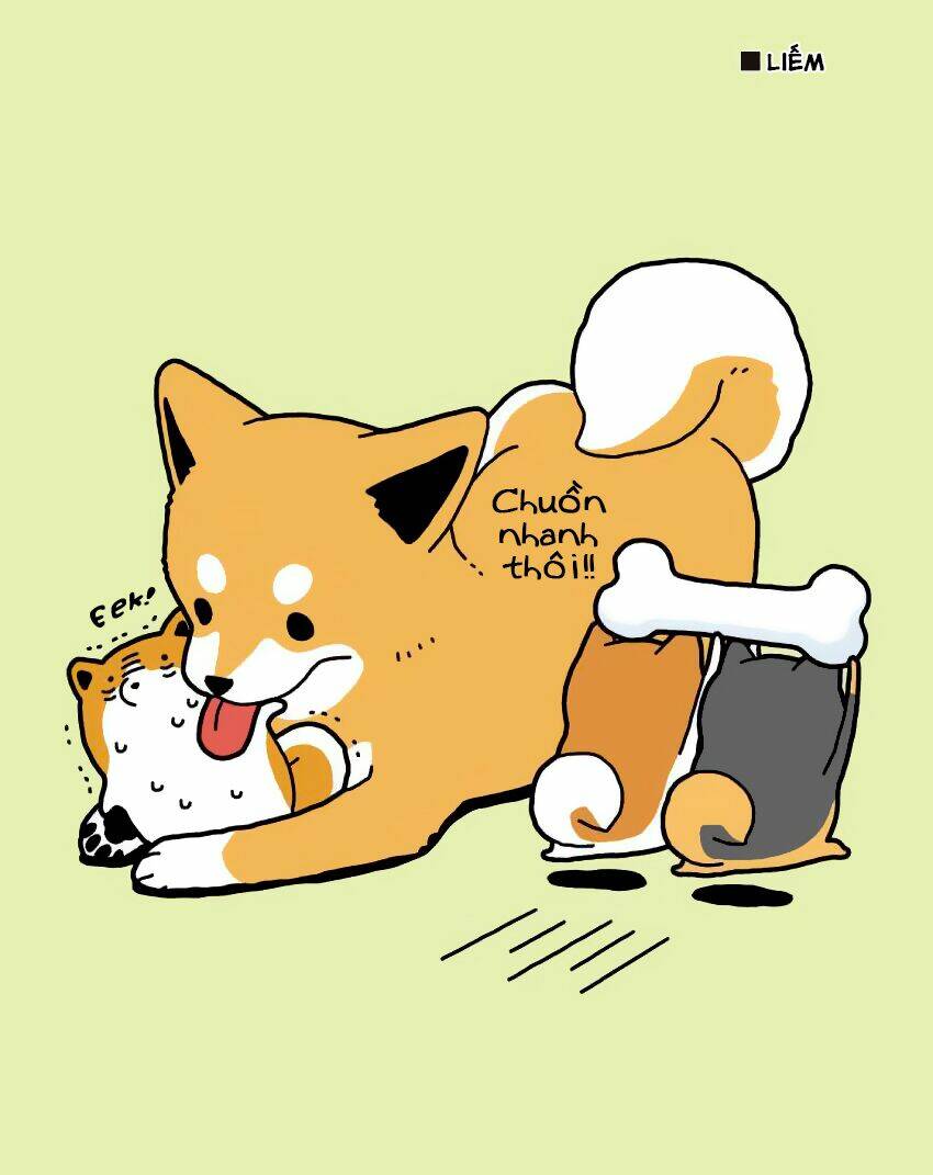 Taru Shiba: Chapter 7