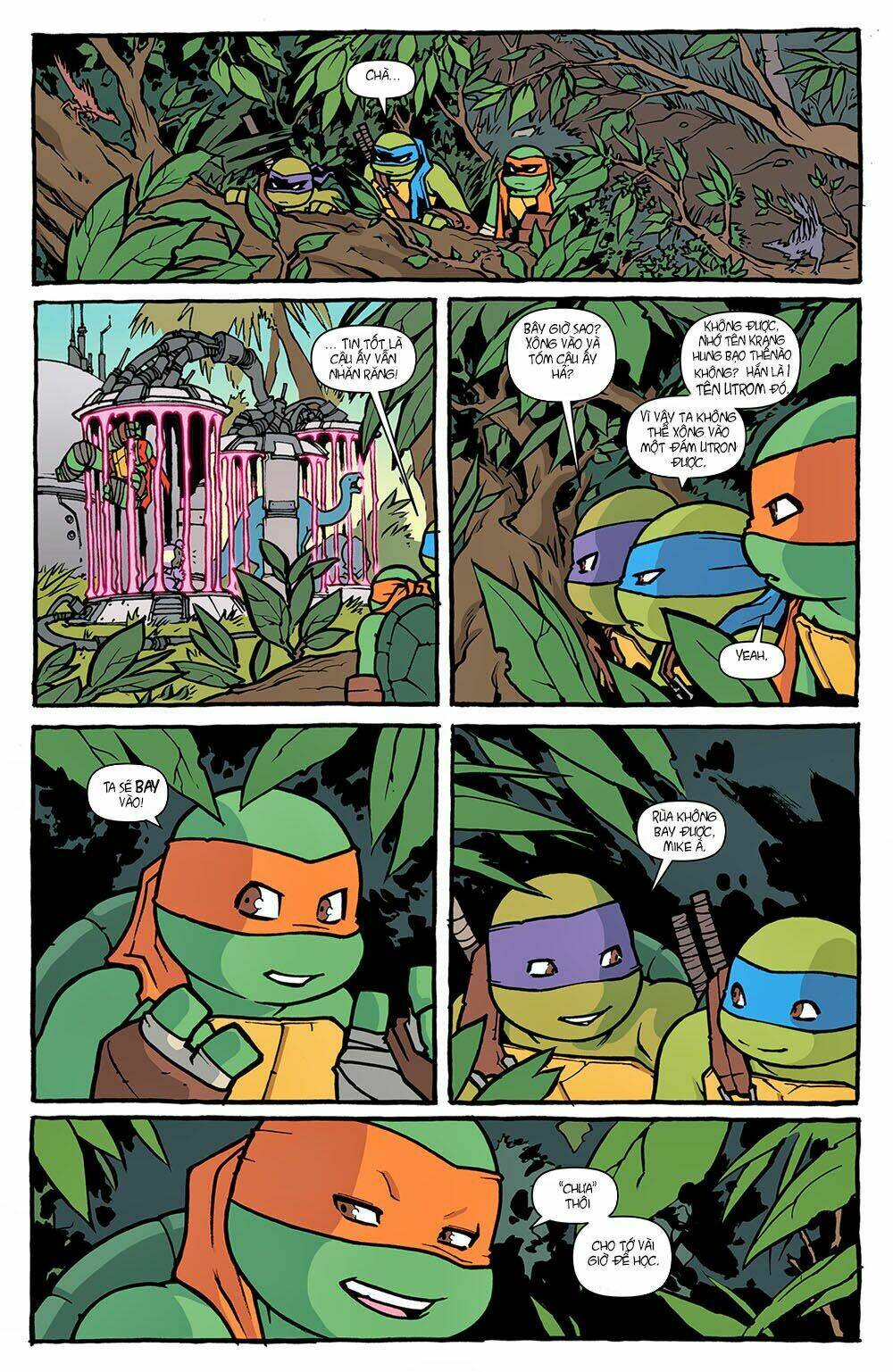 Teenage Mutant Ninja Heroes: Turtles In Time: Chapter 1