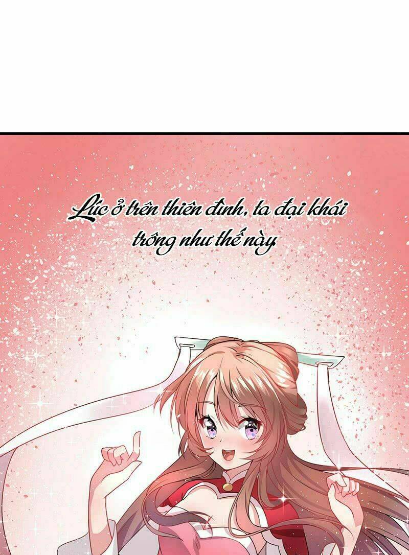 Thần Tiên Đại Nhân Xin Hãy Thu Nhận: Chapter 1.5