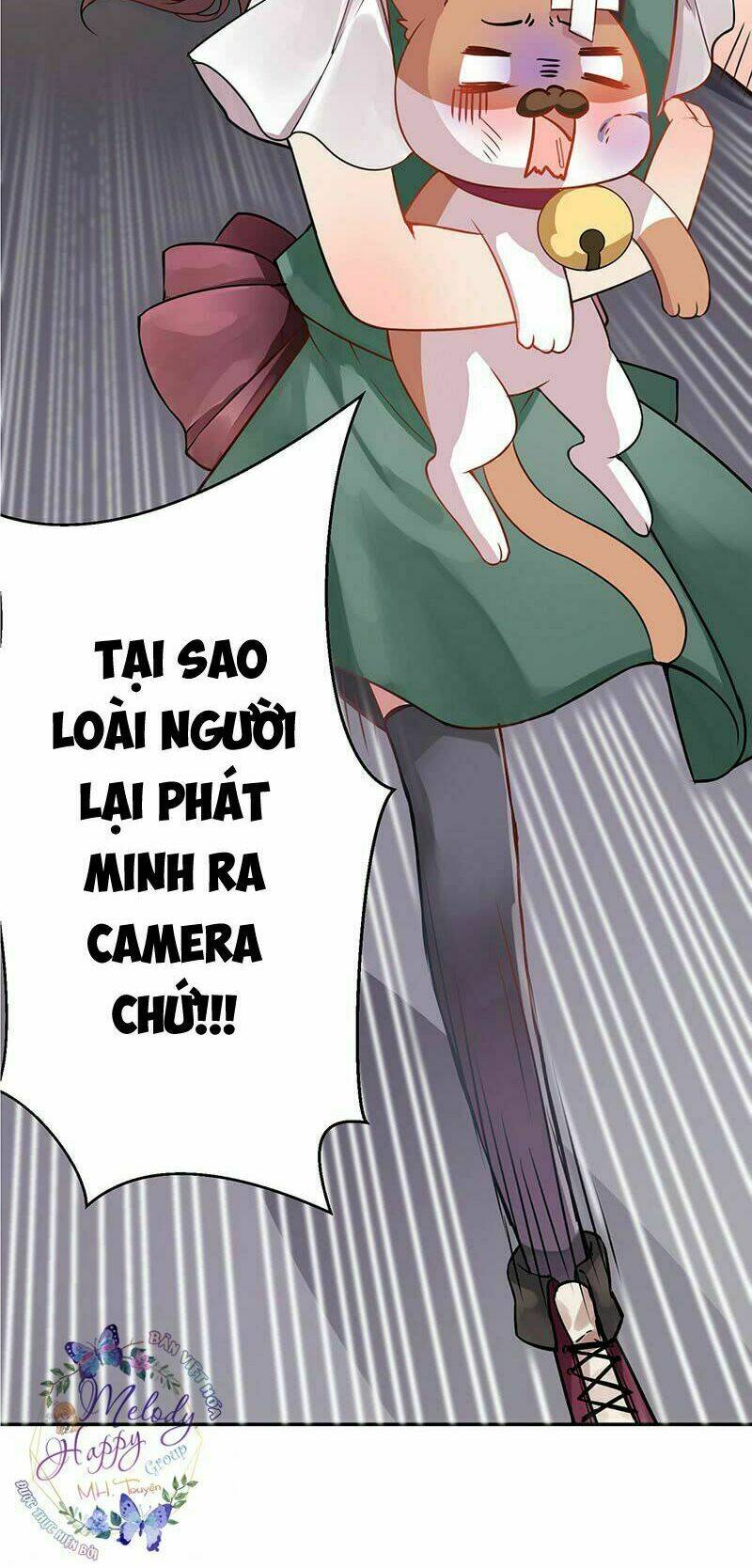 Thần Tiên Đại Nhân Xin Hãy Thu Nhận: Chapter 1.5