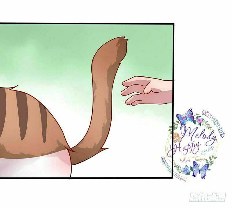Thần Tiên Đại Nhân Xin Hãy Thu Nhận: Chapter 1