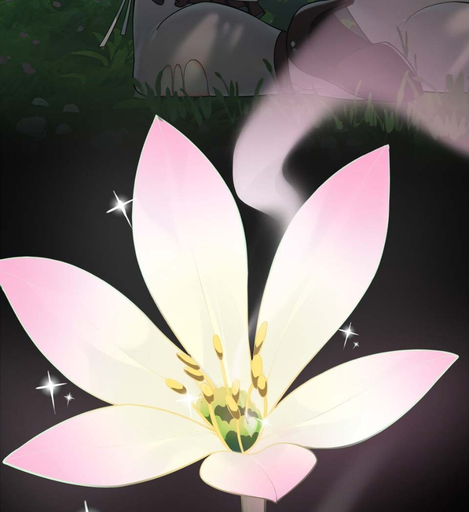 Thánh Nữ Tiểu Thư Xin Ngài Đừng Suy Diễn Nữa: Chapter 13