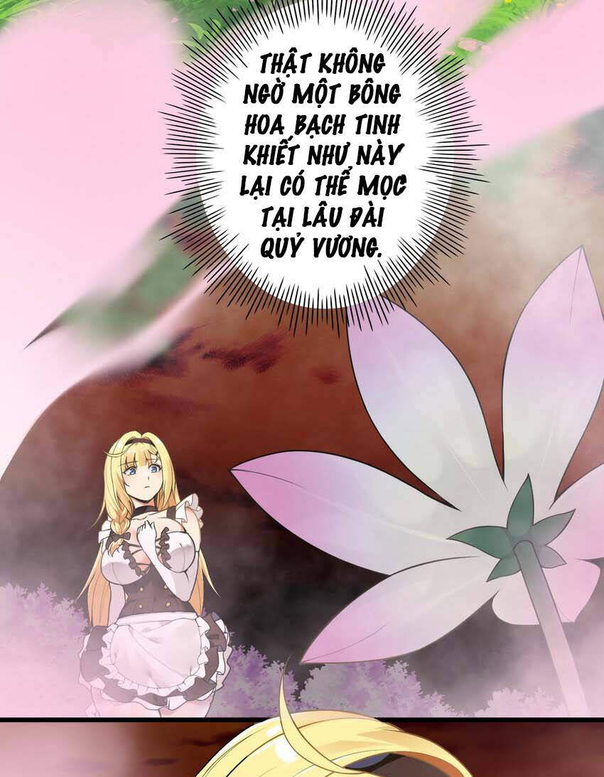 Thánh Nữ, Xin Hãy Dừng Ngay Những Trò Quái Đản Của Cô Đi!!: Chapter 13