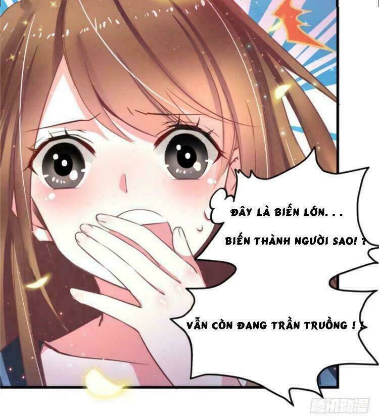 Thảnh Thơi Thú Thế Chủng Chủng Điền, Sinh Sinh Tể: Chapter 1