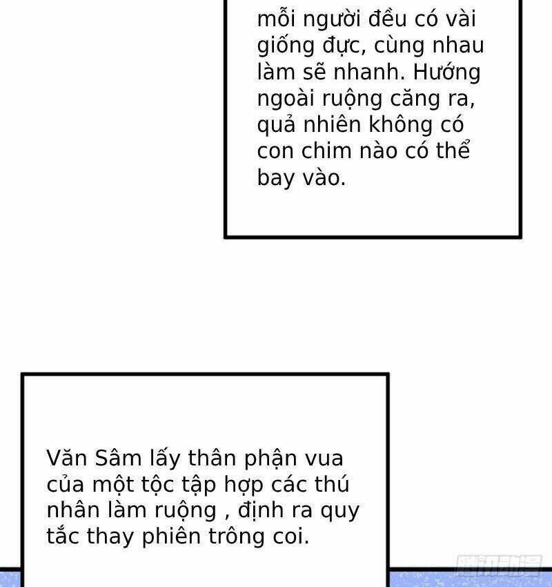 Thảnh Thơi Thú Thế Chủng Chủng Điền, Sinh Sinh Tể: Chapter 139