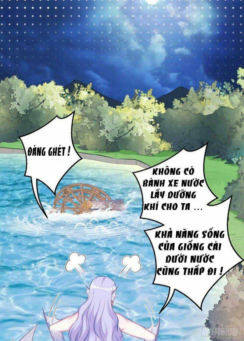 Thảnh Thơi Thú Thế Chủng Chủng Điền, Sinh Sinh Tể: Chapter 334.1