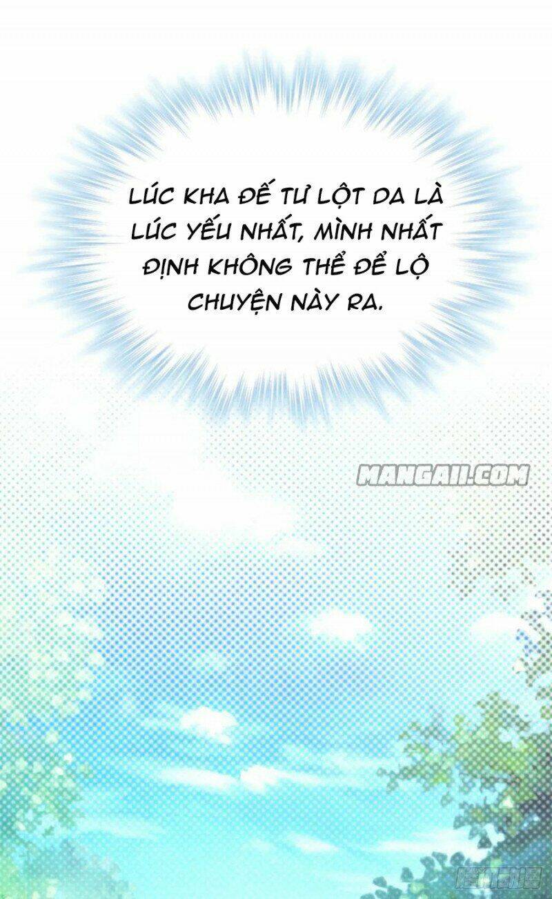 Thảnh Thơi Thú Thế Chủng Chủng Điền, Sinh Sinh Tể: Chapter 343.2