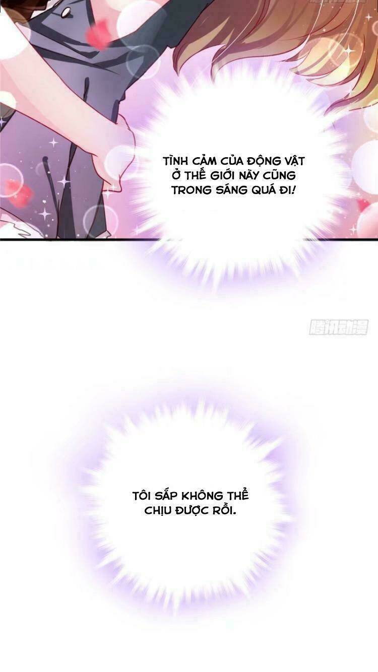 Thảnh Thơi Thú Thế Chủng Chủng Điền, Sinh Sinh Tể: Chapter 6