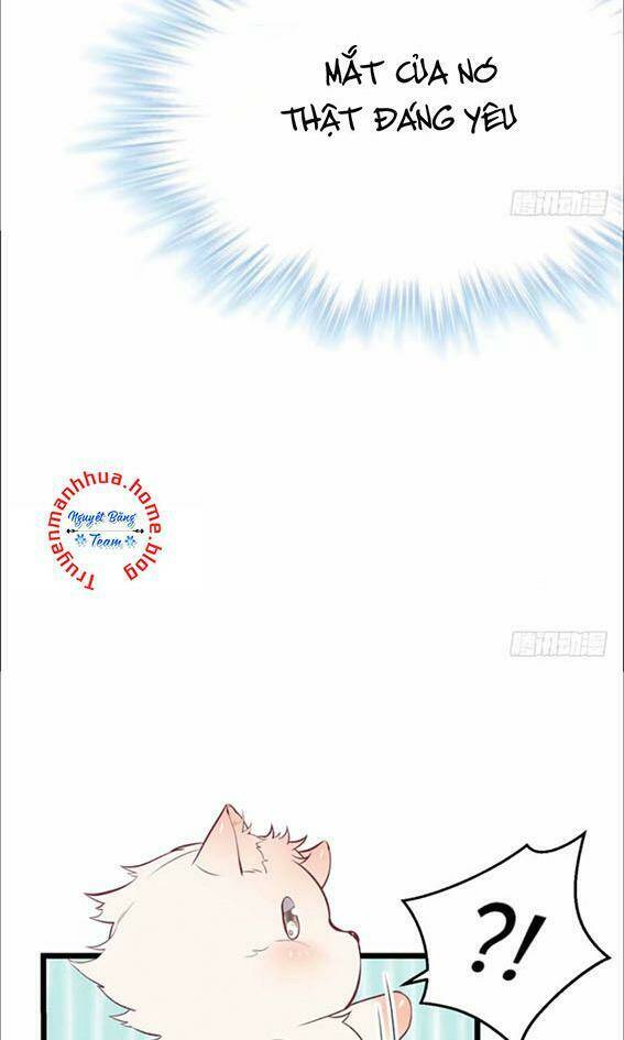Thảnh Thơi Thú Thế Chủng Chủng Điền, Sinh Sinh Tể: Chapter 74