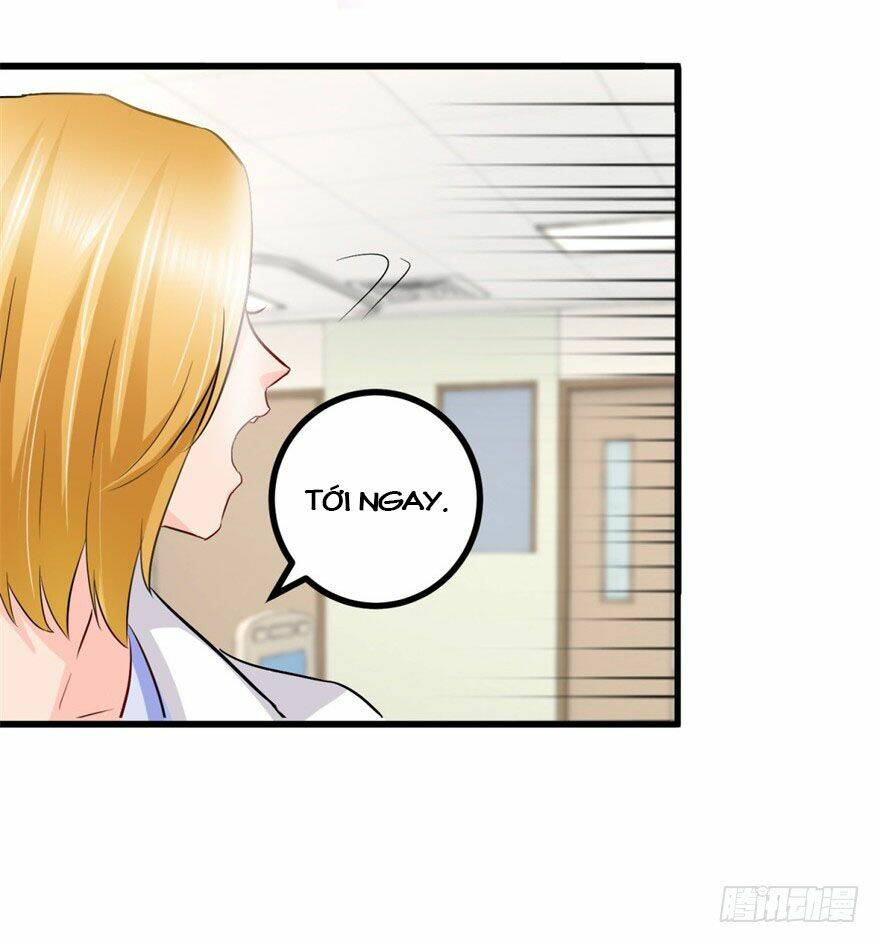 Idol Quốc Dân Đừng Trêu Tôi: Chapter 5