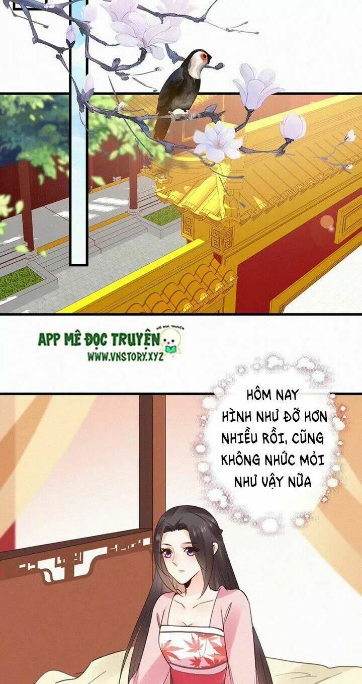 Thiên Hương Mỹ Nhân: Chapter 104