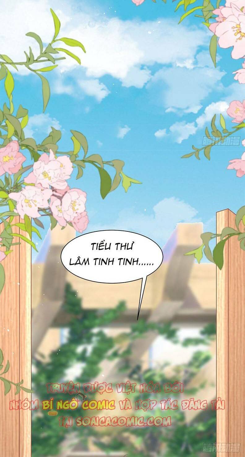 Thiên Kim Đẳng Cấp Của Ác Ma: Chapter 13