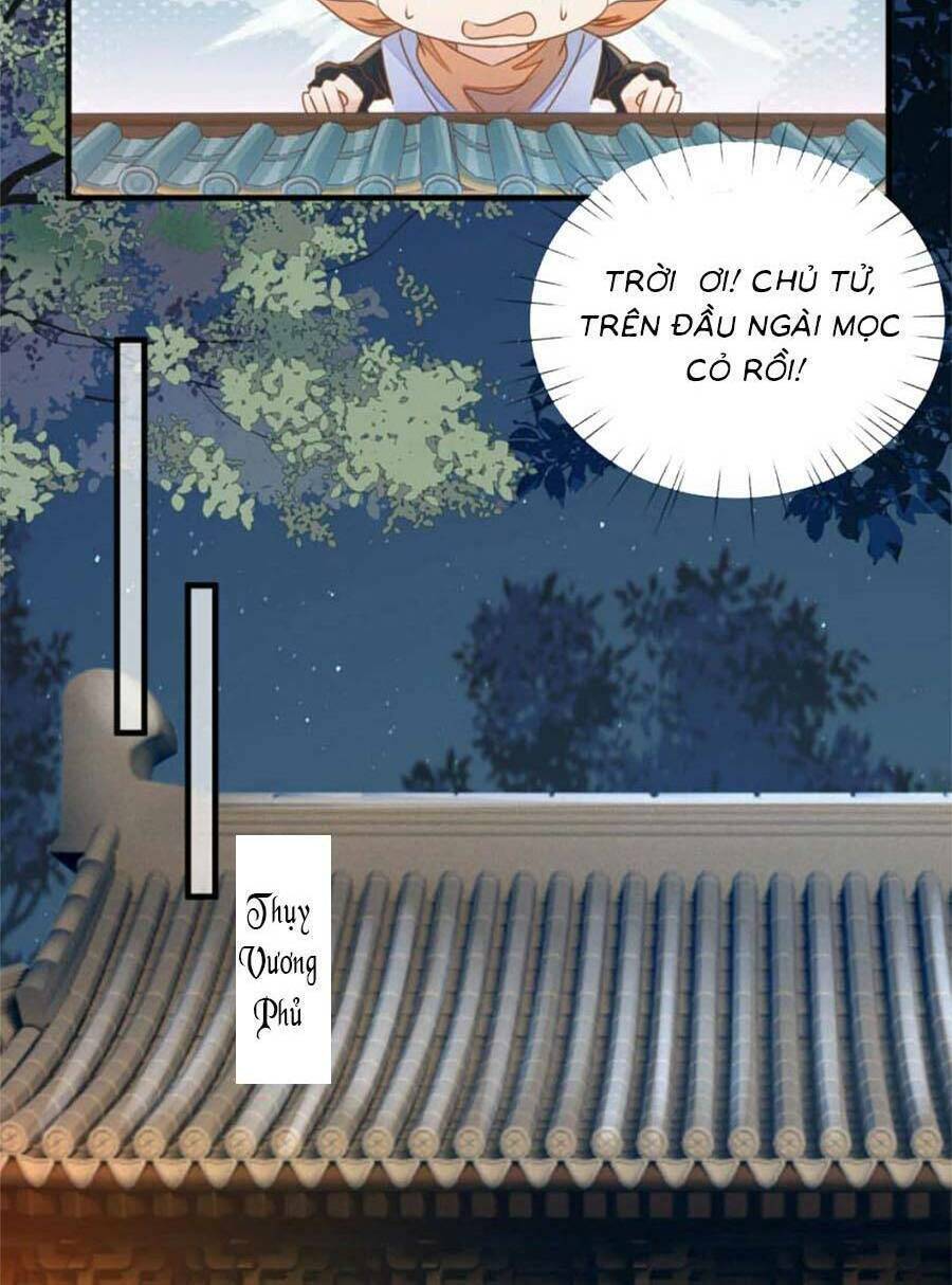Thiên Kim Độc Phi Trọng Sinh: Chapter 27