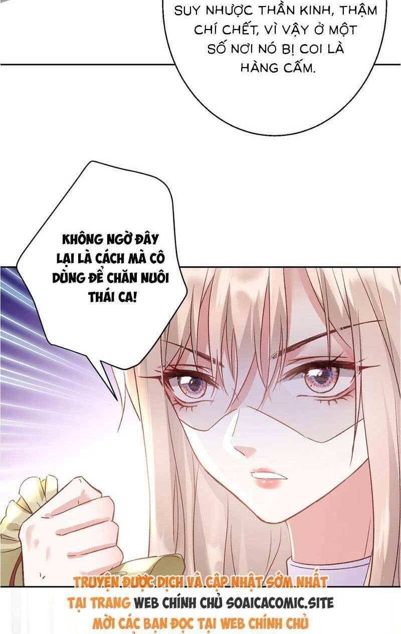 Thiên Kim Toàn Năng Trọng Sinh: Chapter 6
