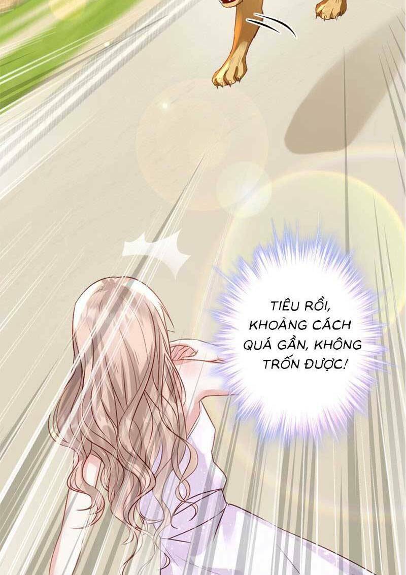 Thiên Kim Toàn Năng Trọng Sinh: Chapter 6