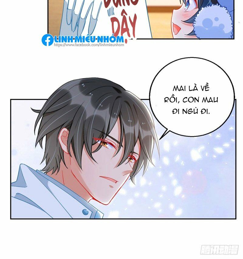 Thiết Lập Nhân Vật Daddy Của Tôi Bị Sụp Đổ: Chapter 67